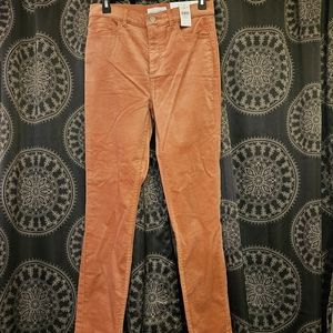 LOFT Coral Pink Velour Skinny Jeans